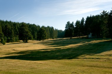 Güzel park