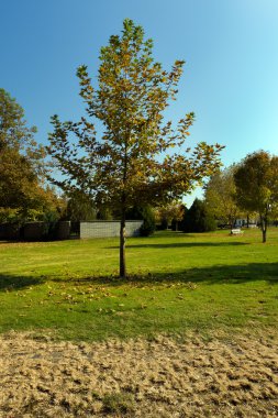 Güzel park