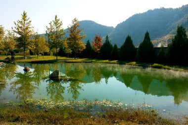 Güzel park