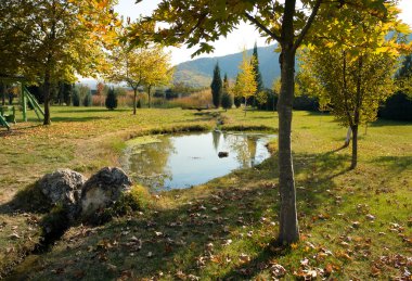 Güzel park