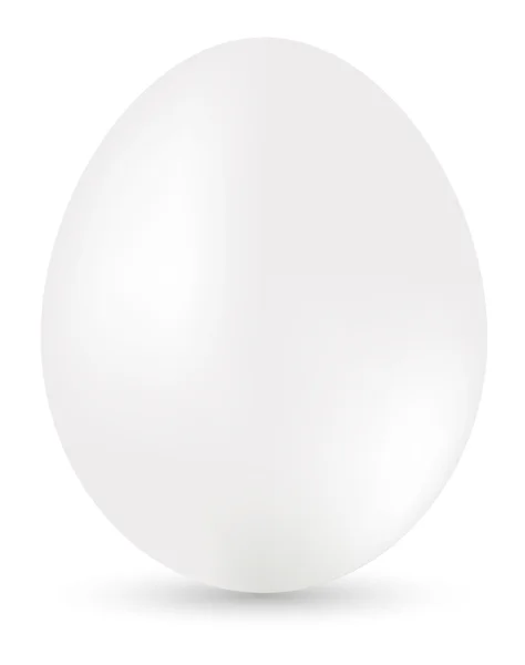 stock vector White egg
