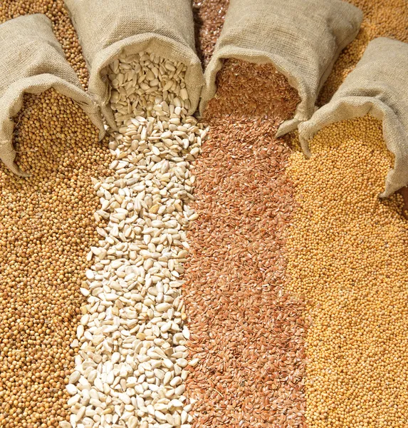 Семена кориандра, подсолнечника, льна и горчицы — стоковое фото