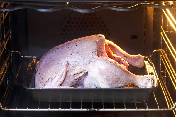 Stock image Chicken in oven