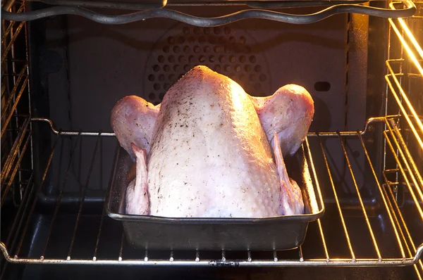 stock image Chicken in oven