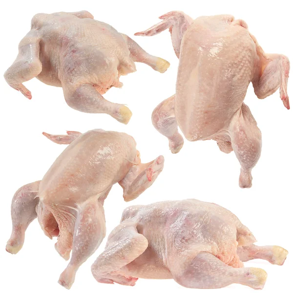 Rå kyckling set — Stockfoto