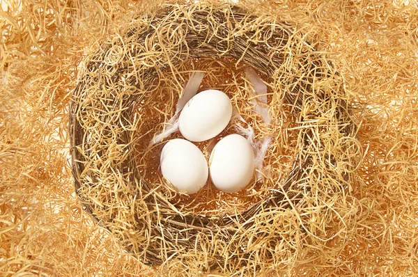 Čerstvé bílé vejce — Stock fotografie