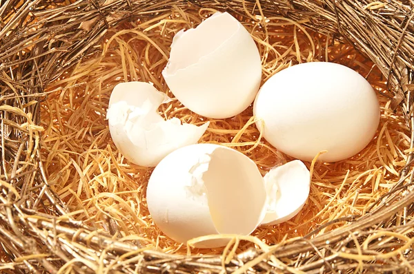 Rozbité a celá vejce — Stock fotografie