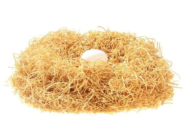Ovo branco em um ninho — Fotografia de Stock