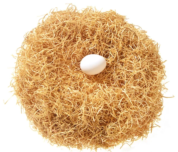 Bílé vejce v hnízdě — Stock fotografie