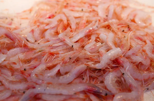 A pile of shrimp on the sales counter — Stock Photo, Image