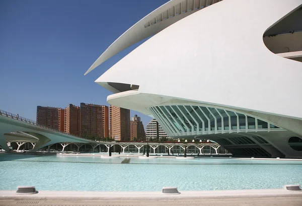 Modern building of the Palace of Arts in Valencia Royalty Free Stock Images