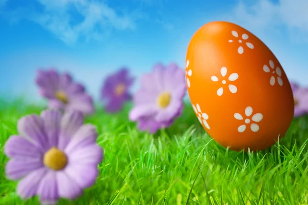 Orange easter egg in the grass against blue sky — Stock Photo, Image