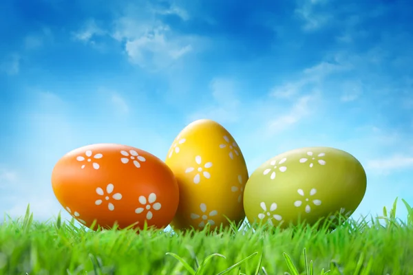 Color huevos de Pascua en la hierba contra el cielo azul —  Fotos de Stock