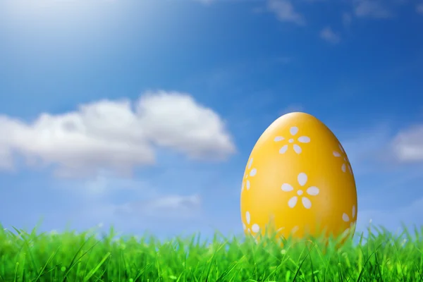Color easter egg in the grass on blue — Stock Photo, Image
