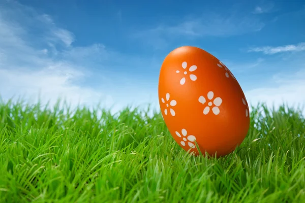 Color easter egg in the grass on blue — Stock Photo, Image