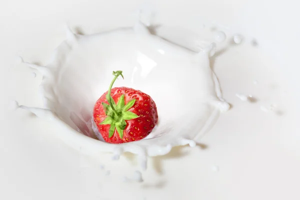 Fresa tirada en la leche con salpicadura — Foto de Stock