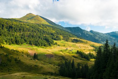 Ukrayna 'daki Karpat Dağları manzarası