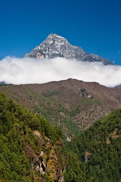 Himalaia Paisagem: montanha e floresta — Fotografia de Stock