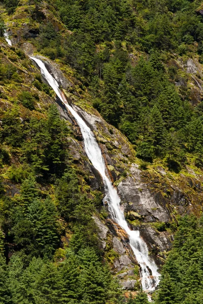 Himalaya landschap: waterval en forest bomen — Stockfoto