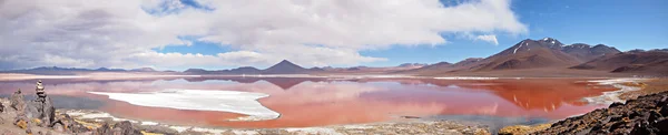 Panorama röda lagunen, bolivia — Stockfoto