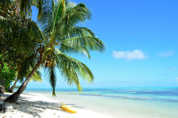 Tropikal beyaz kumsalda kayık — Stok fotoğraf