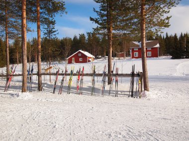 Cross-country skis in a Lapland scene clipart