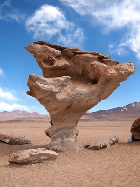 Kamenné strom, arbol de piedra, v Bolívii — Stock fotografie