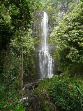 Hawaii tropik şelale