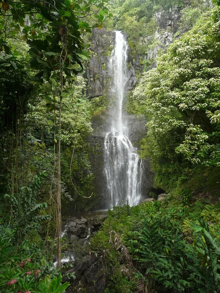 Hawaiian tropical waterfall — Stock Photo, Image