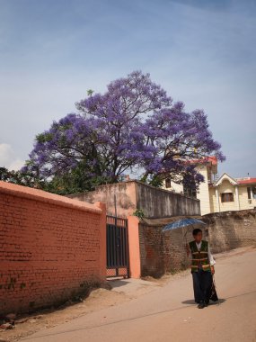 geleneksel Nepal kadın