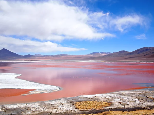 Lagune rouge, Laguna Colorada — Photo