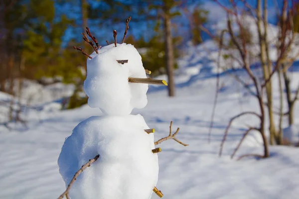 Retrato de um boneco de neve — Fotografia de Stock