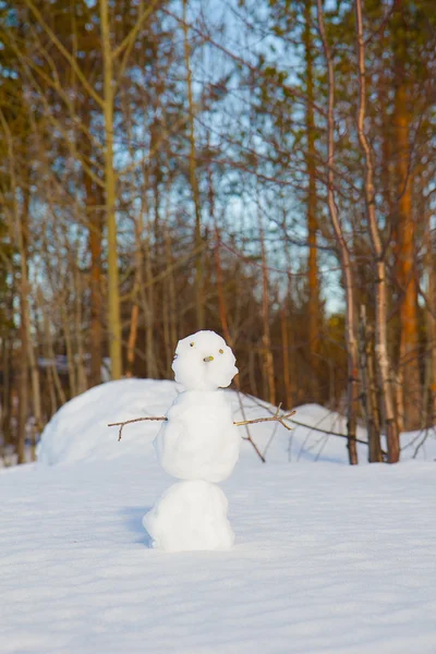 Sněhulák — Stock fotografie