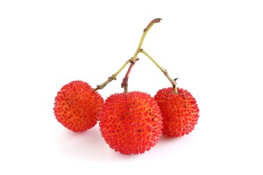 Three red bayberries clipart