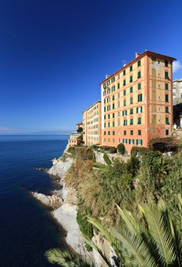 Camogli içinde görüntüleme