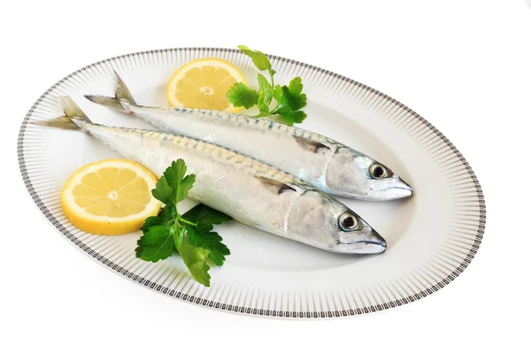 Plate with mackerels — Stock Photo, Image