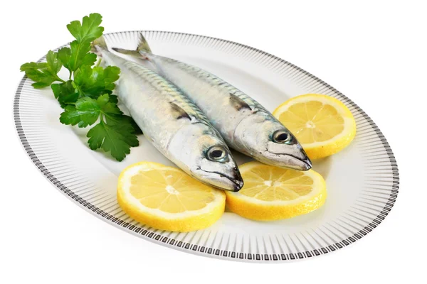 Two mackerels on a plate — Stock Photo, Image