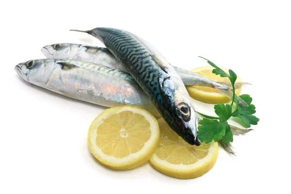 Drei Makrelen mit Zitrone und Petersilie — Stockfoto