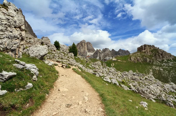Camino en Catinaccio Dolomitas — Foto de Stock