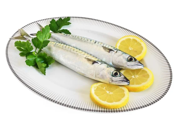Plate with two mackerels — Stock Photo, Image