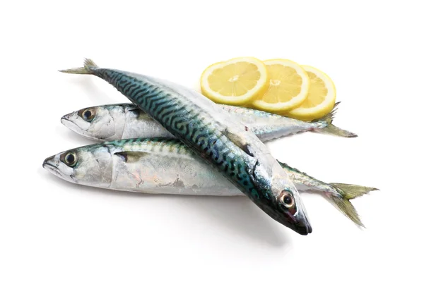 Three mackerel with lemon — Stock Photo, Image