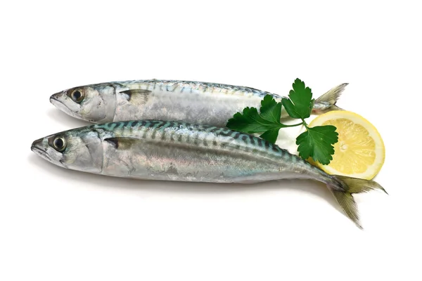 Two mackerel with lemon — Stock Photo, Image