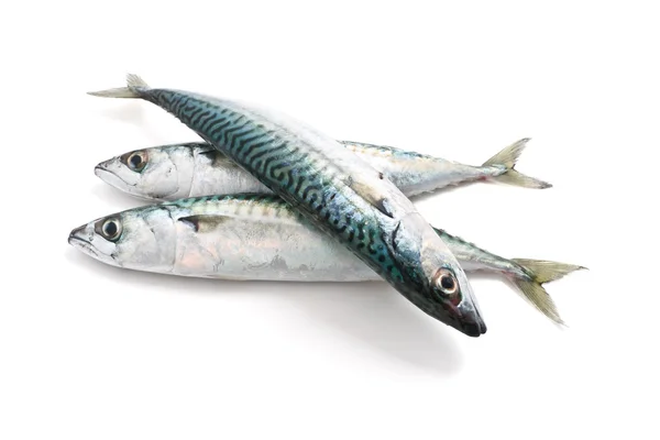 Three mackerel — Stock Photo, Image