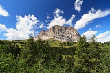 sassolungo - langkofel dağ