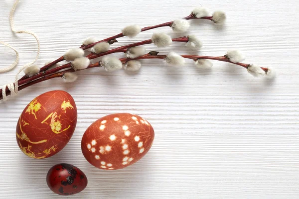 Ovos de Páscoa coloridos com pele de cebola — Fotografia de Stock