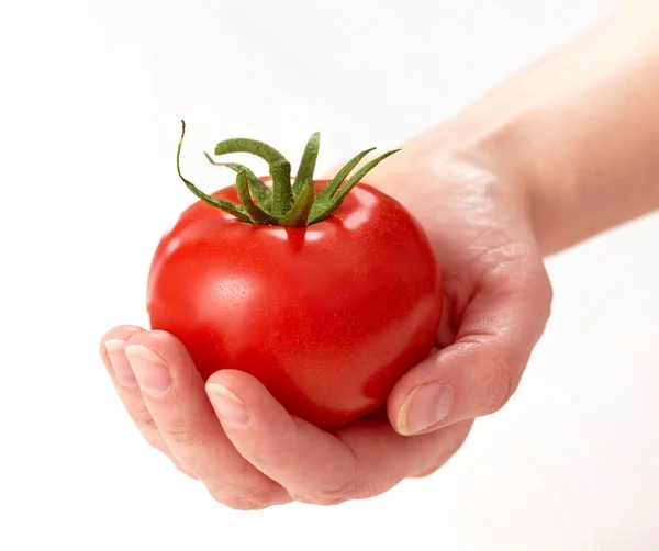Tomato in the human hand — Stock Photo, Image