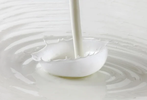 Salpicos de leite — Fotografia de Stock