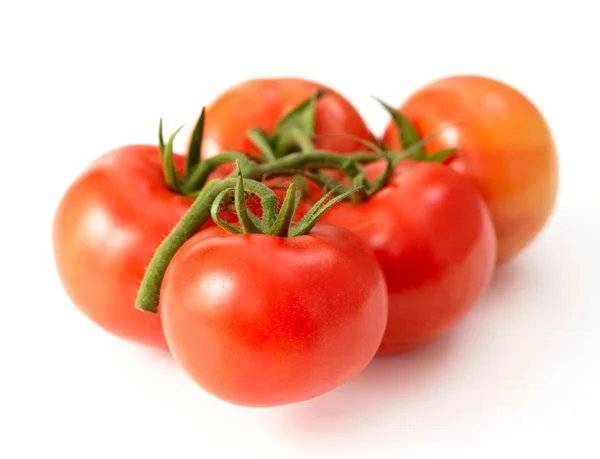 鲜红色西红柿 — 图库照片