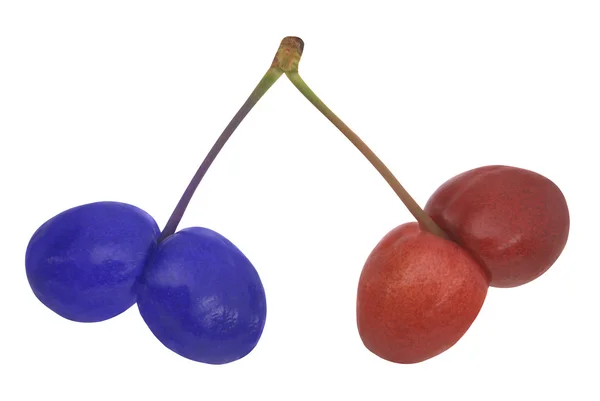 Variegated cherries — Stock Photo, Image