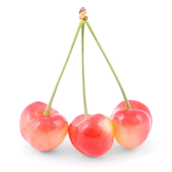 Три красные вишни — стоковое фото